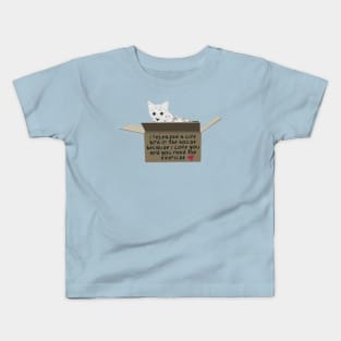 Cat in a Box Valentine Kids T-Shirt